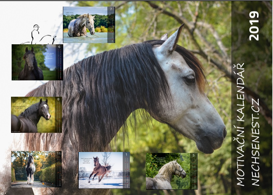 Motivační kalendář 2019 vytěžil 8 700 Kč pro Domov pro koně