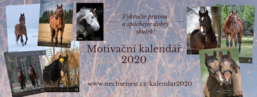 Motivační kalendář 2020 – pomáháme už 3. rokem