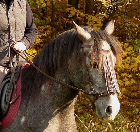 Obnosek – návod na použití a nejčastěji kladené otázky