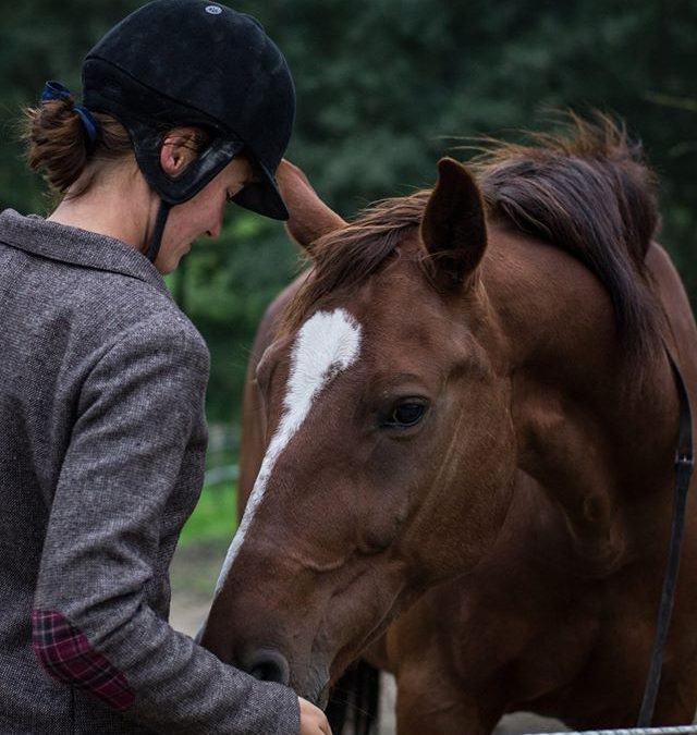 PODCAST: “Koně s námi chtějí spolupracovat” rozhovor s MVDr. Helenou Pokorovou